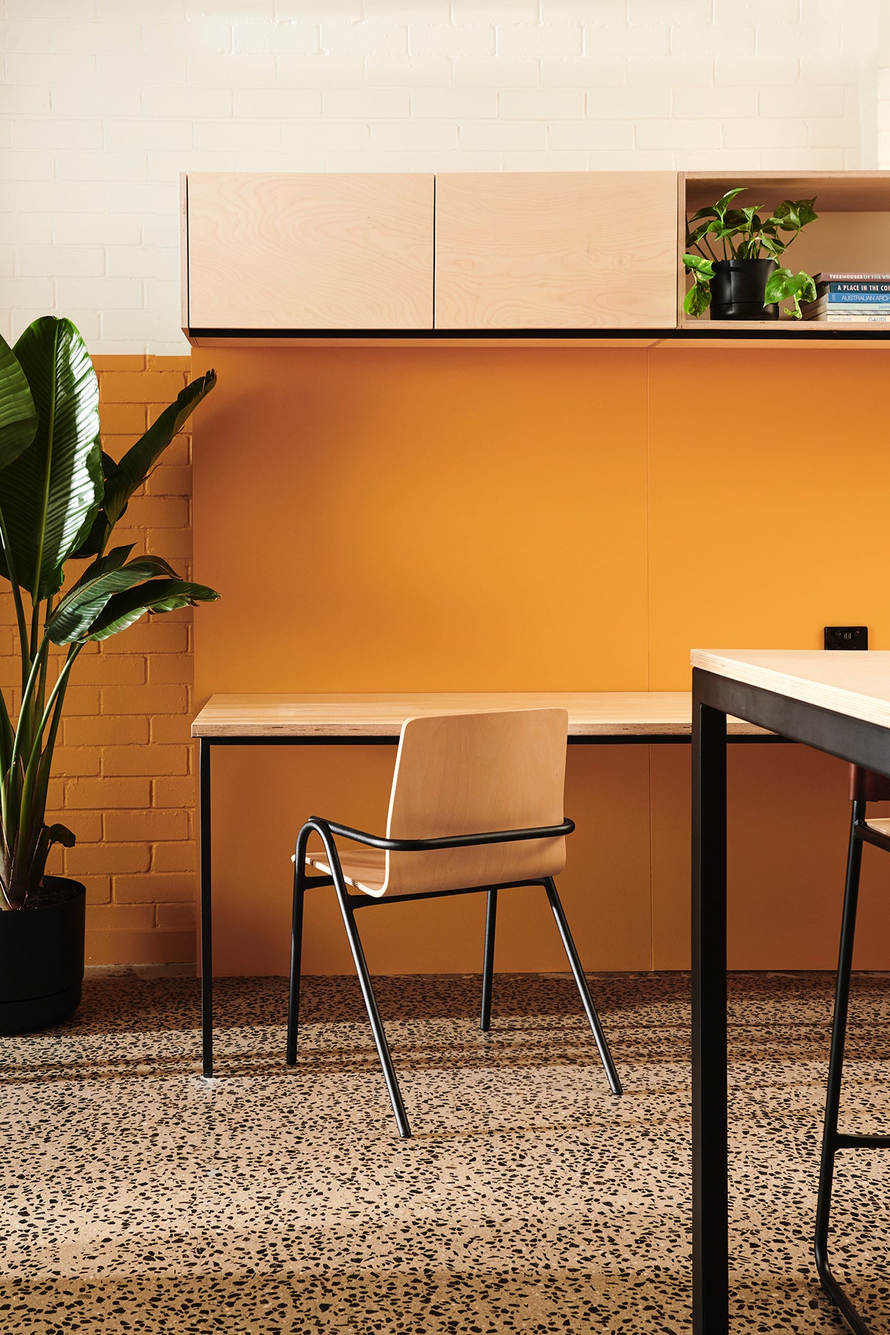 Pako Collective: Geelong