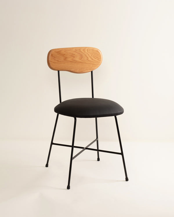 Pool Chair